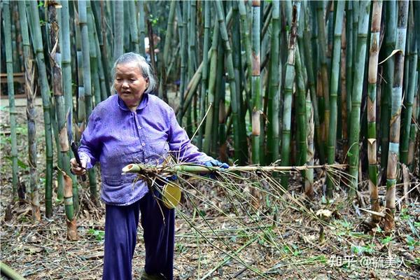 肇庆市广宁县长寿老人多，75岁还去砍竹子赚钱称不麻烦子女 - 知乎