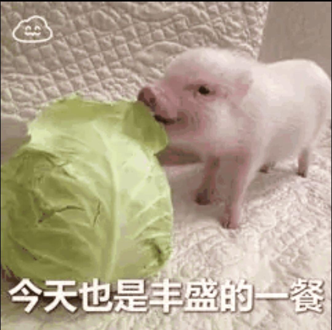 v2-c025aaa5135c3ff6bd3d7dcf450152da_r.jpg