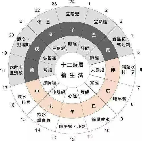 经络运行时间表及作用图片