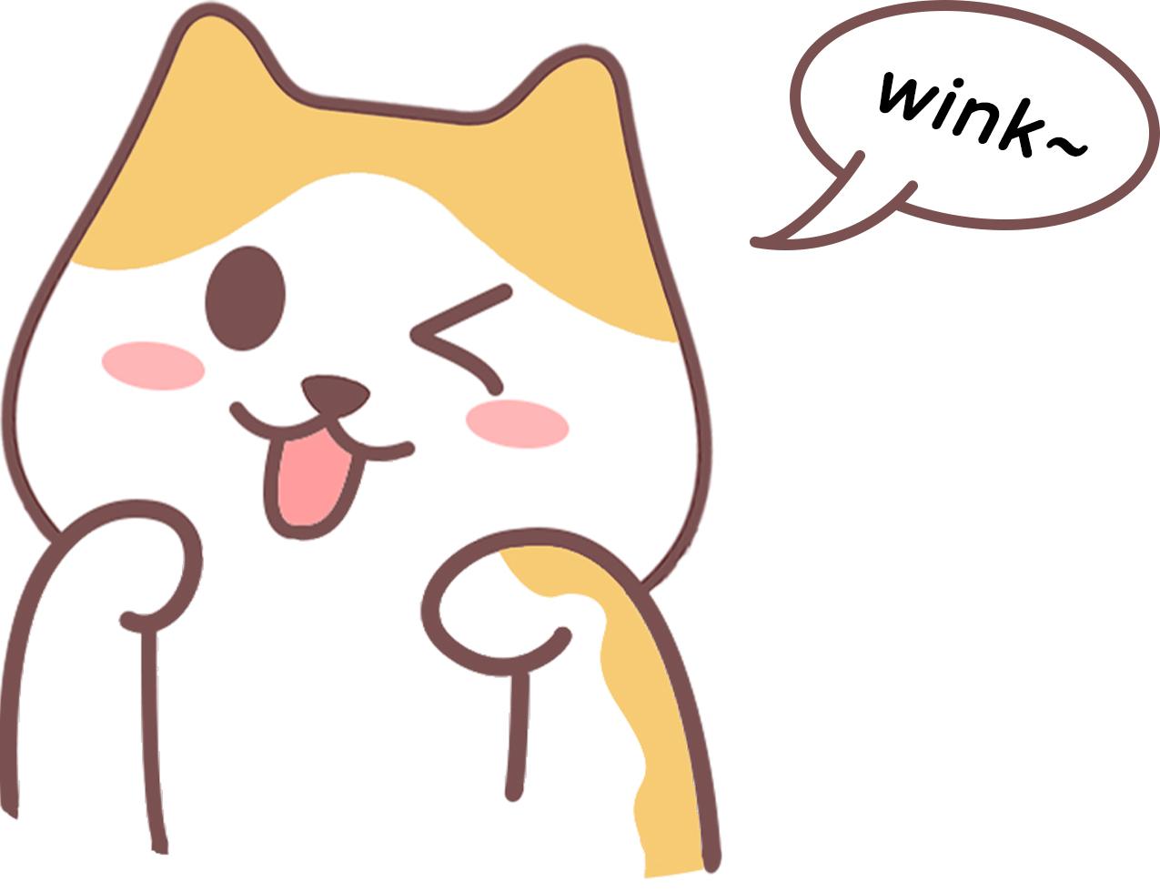 用猫咪的方式向猫咪告白,"我爱你!" - 知乎