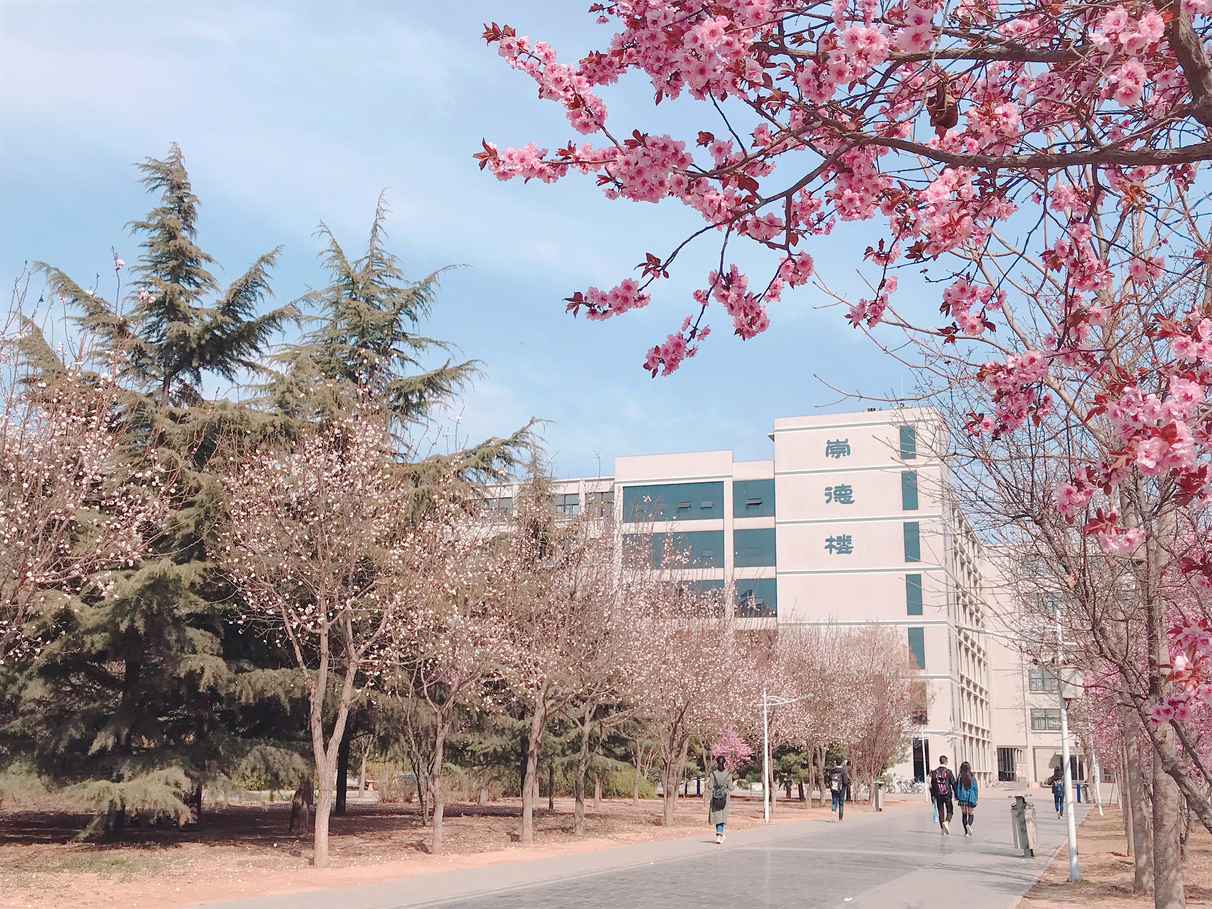 河北农业大学