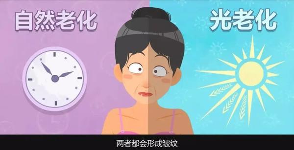 重组Ⅲ型人源化胶原蛋白的抗老化作用 - 知乎
