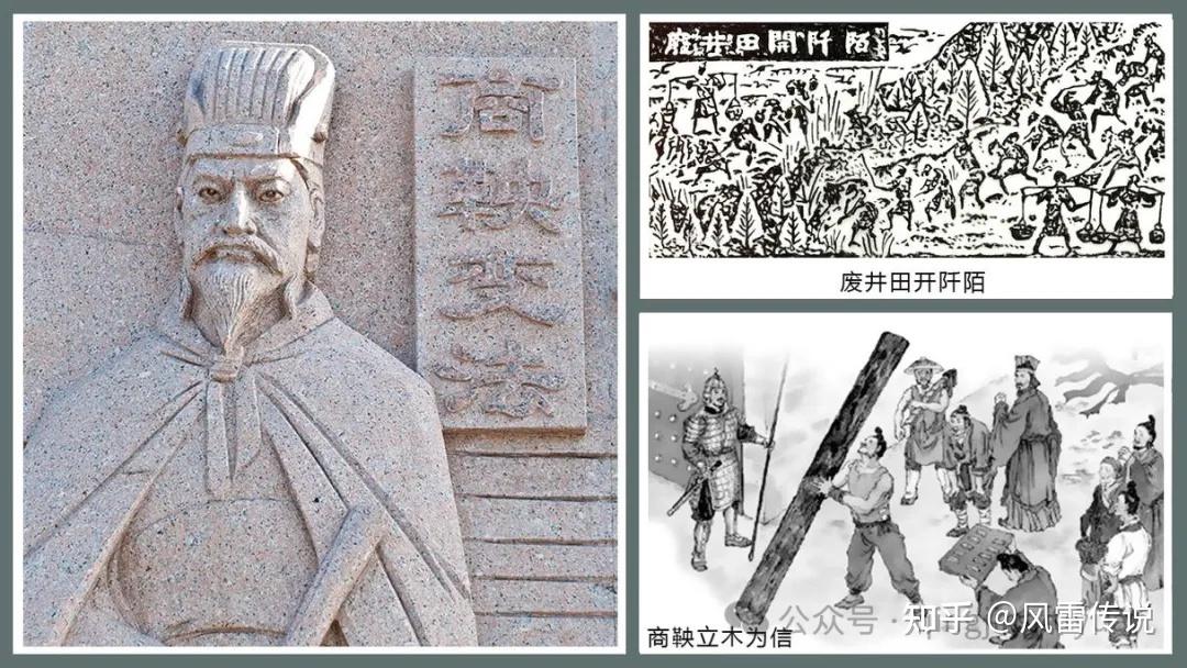 关于种生基的功效问题 - 知乎