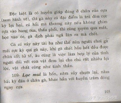 越南一直使用着汉字,突然要改用拉丁文,现在效果怎么样? 