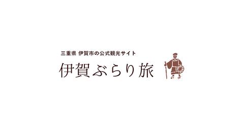 图标