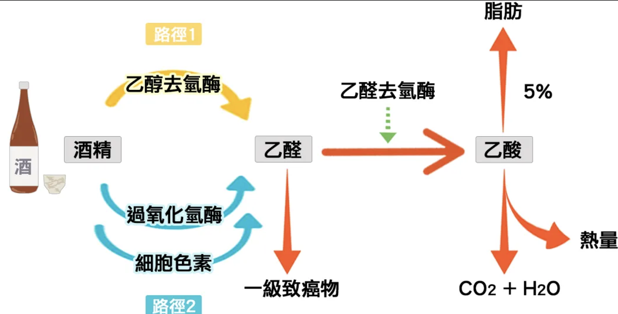酒后白脸or红脸是怎么回事? - 知乎
