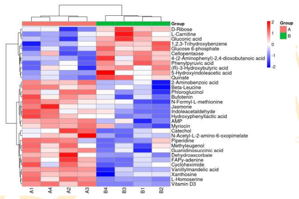 代谢组学报告怎么看？ - 知乎