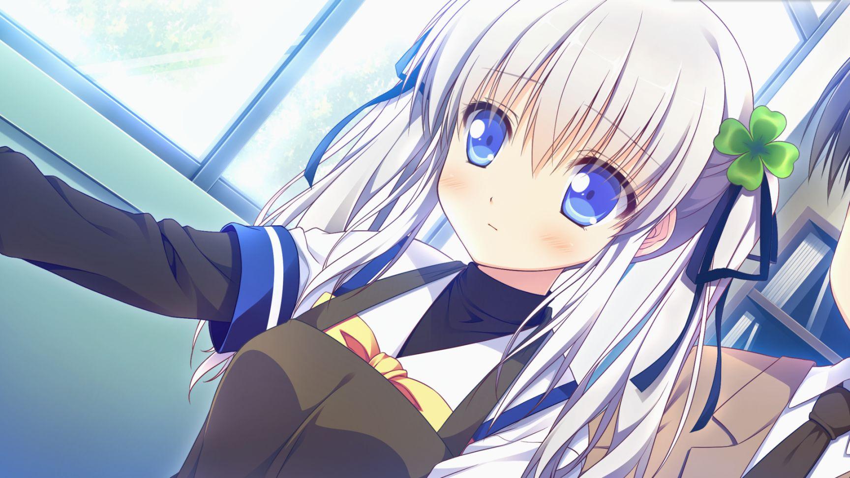 万物皆有限，唯有爱永恒——评测《幸运草的约定》 - 知乎