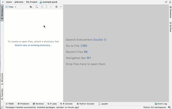 dataspell for r dataspell for r