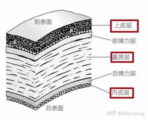 戴隐形眼镜对眼睛有什么危害吗?