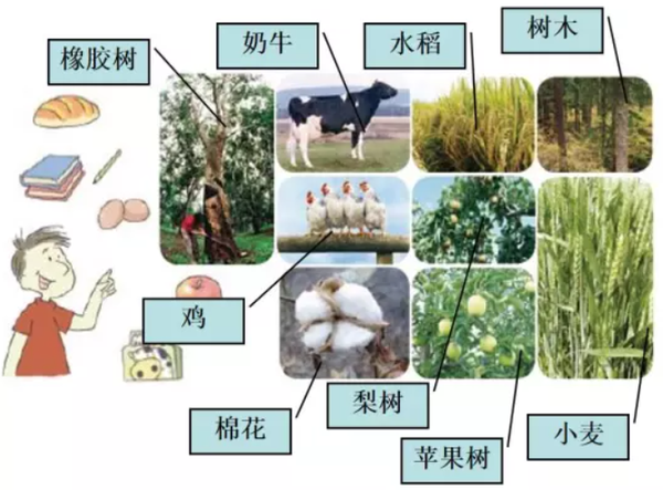 【生物多样性调查】生物多样性本底调查、生物多样性调查评估服务 知乎