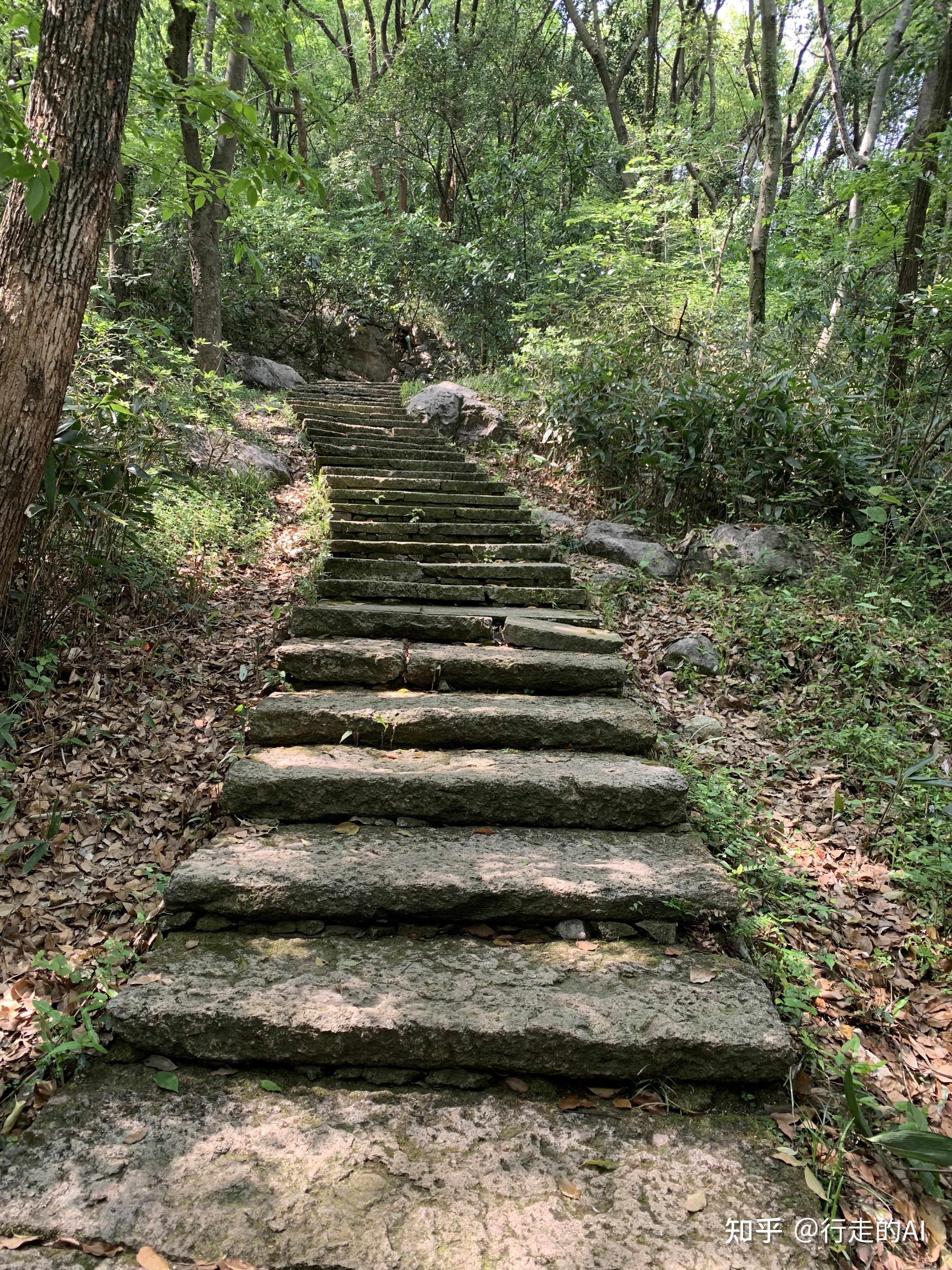 杭州爬山路线八卦田紫来洞玉皇山虎跑