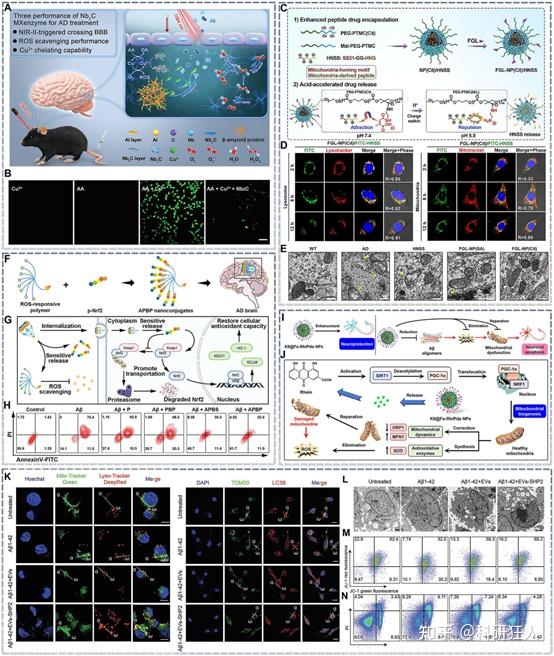 Brain-X | 广州中医药大学陈桐楷课题组:靶向病理机制的抗AD纳米药物 - 知乎