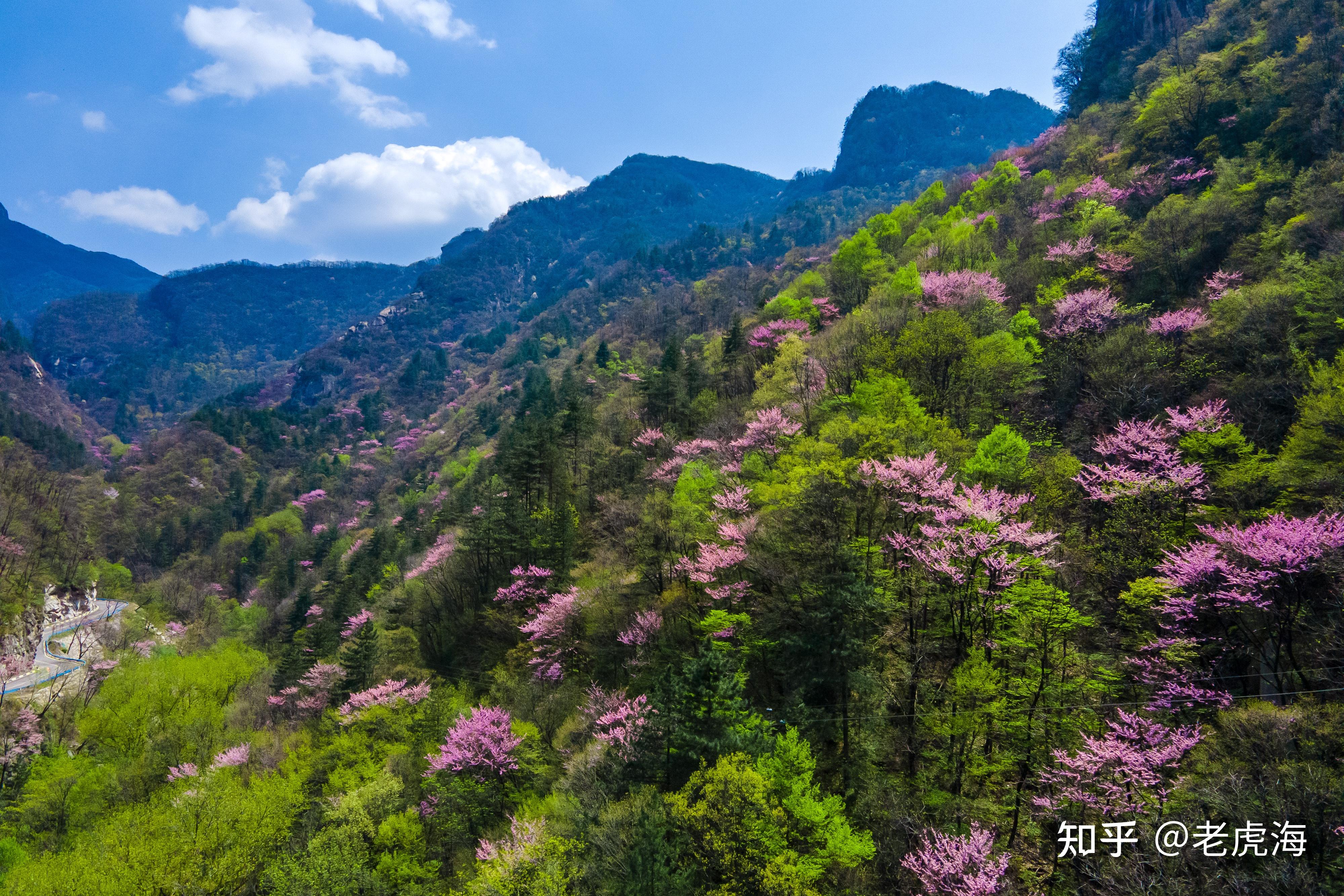 统筹谋划 强化运营 洛阳龙峪湾国家森林公园重彩开局