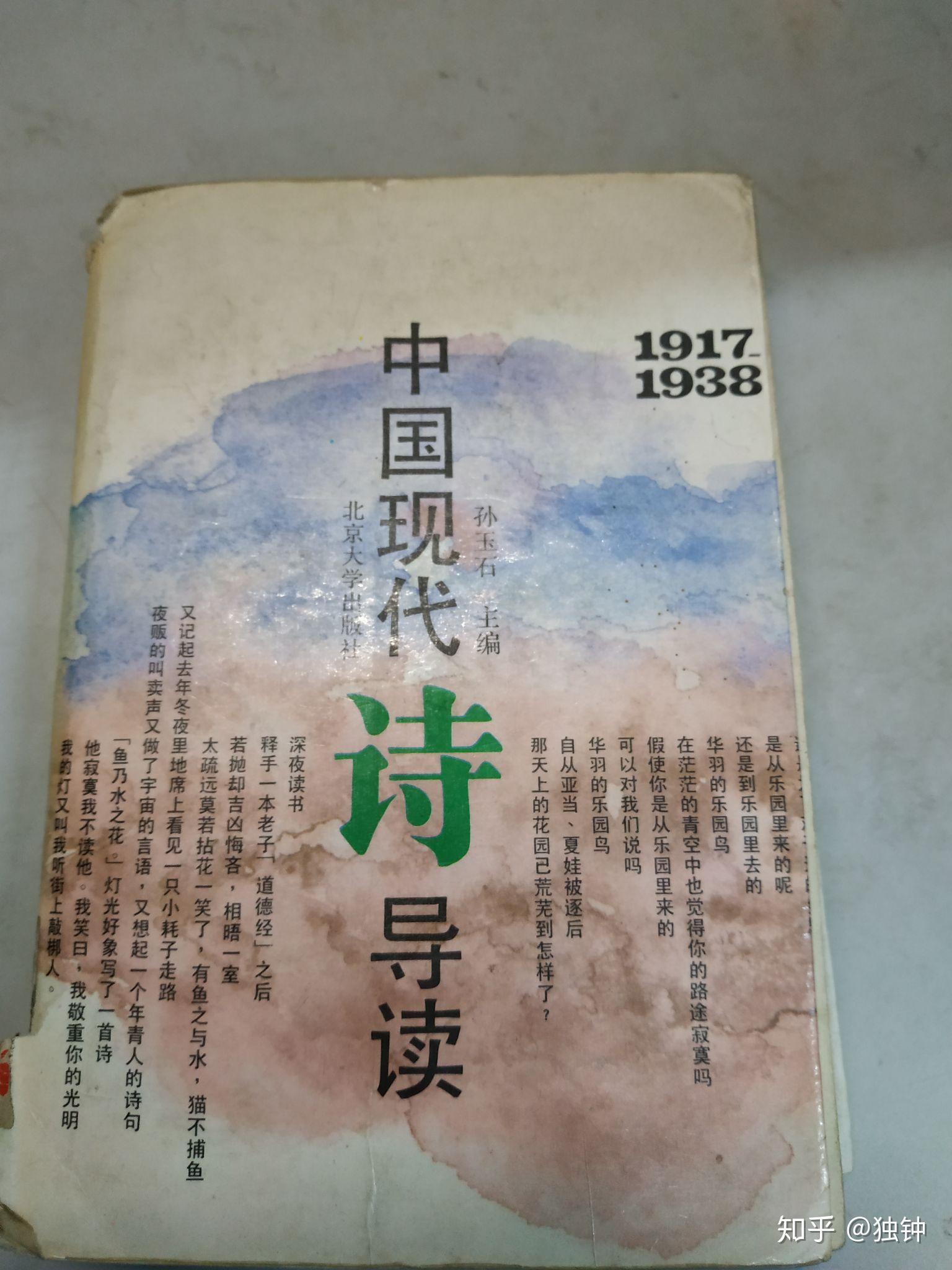 求推荐一本关于中国现代诗歌发展史的书