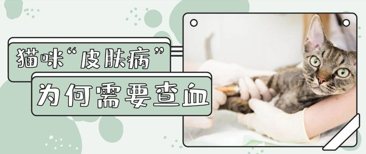 警惕 皮肤病 盘点9个最常引发皮肤症状的内科问题 知乎 警惕 皮肤病 盘点9个最常引发皮肤症状的内科问题 知乎