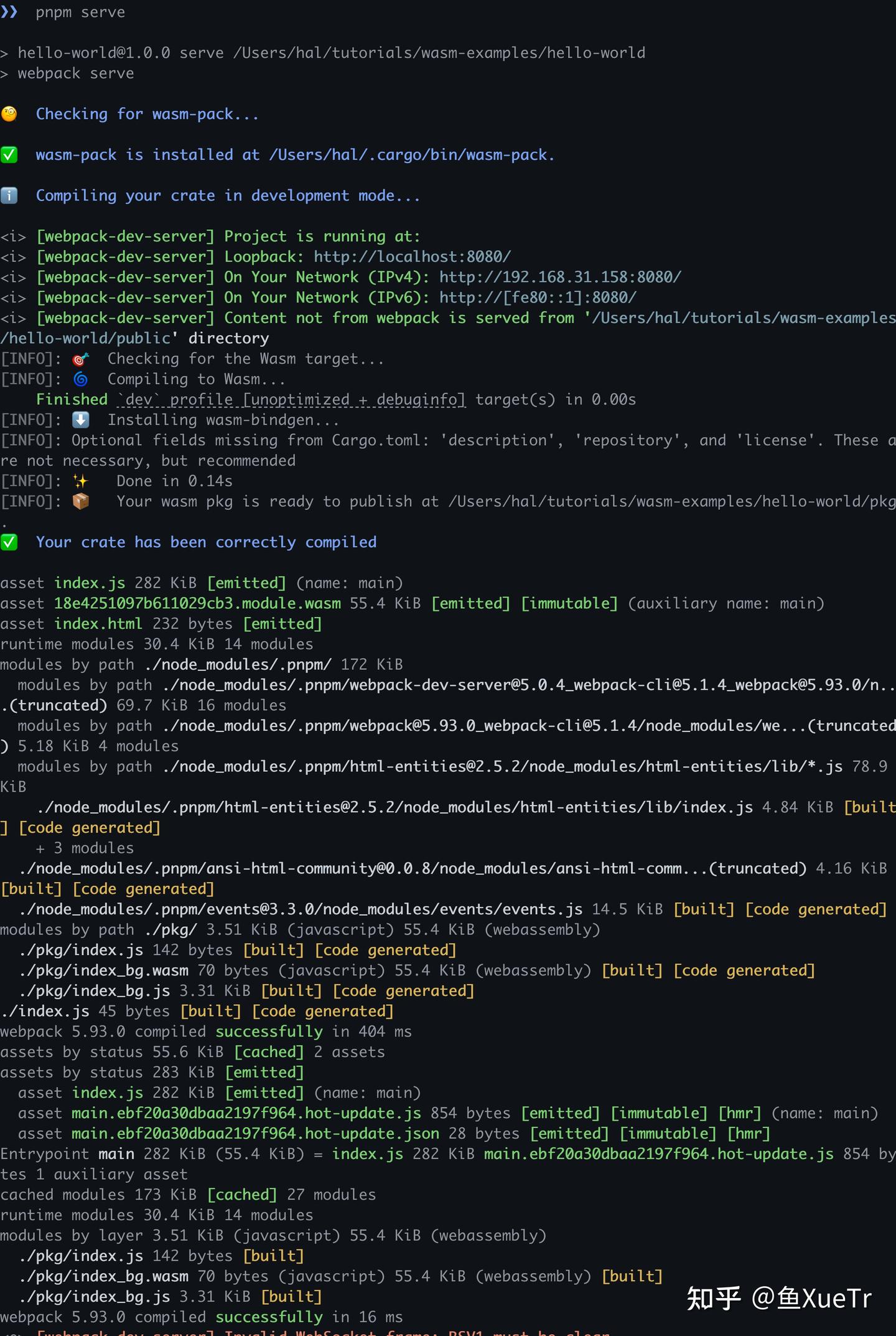 Rust WebAssembly Hello World案例详解 - 知乎