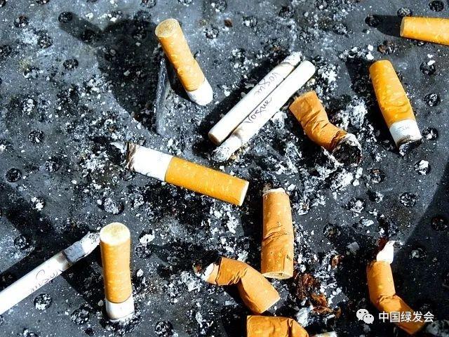 您留意过身边的烟头吗?| 欢迎参与“巡河观景-关注烟头污染”调研 - 知乎