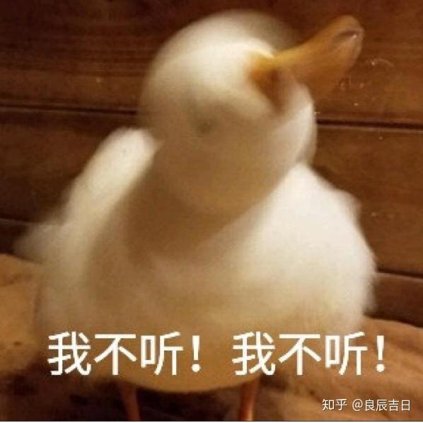 v2-c0fa497e5e97a308dfb271f509d0ce02_r.jpg