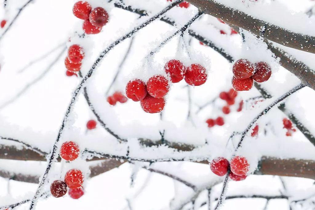 冬天朋友圈鬥圖監獄雪景帶你躺贏