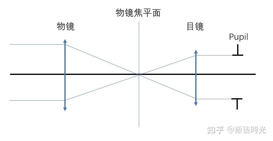 目镜视度调节的原理 - 知乎