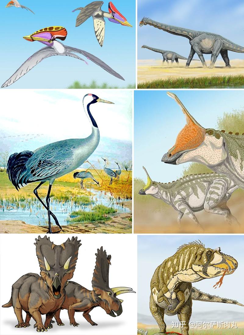 「Prehistoric Park丨史前公园 5」天空帝国沉浮录—翼龙王朝简史 - 知乎