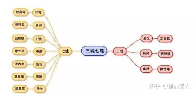 中医解读“魂魄”:养魂之法全在养心 - 知乎