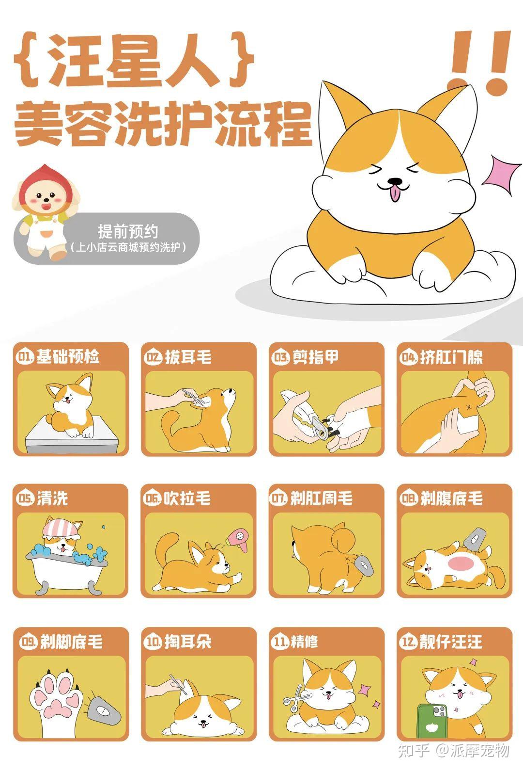 派摩科技 | 秋冬黄金换毛期,宠物店靠这项服务赚翻了!