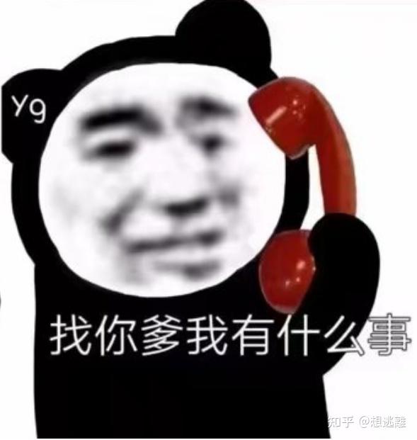 搞怪沙雕熊猫头：找你爹我有什么事 - 知乎