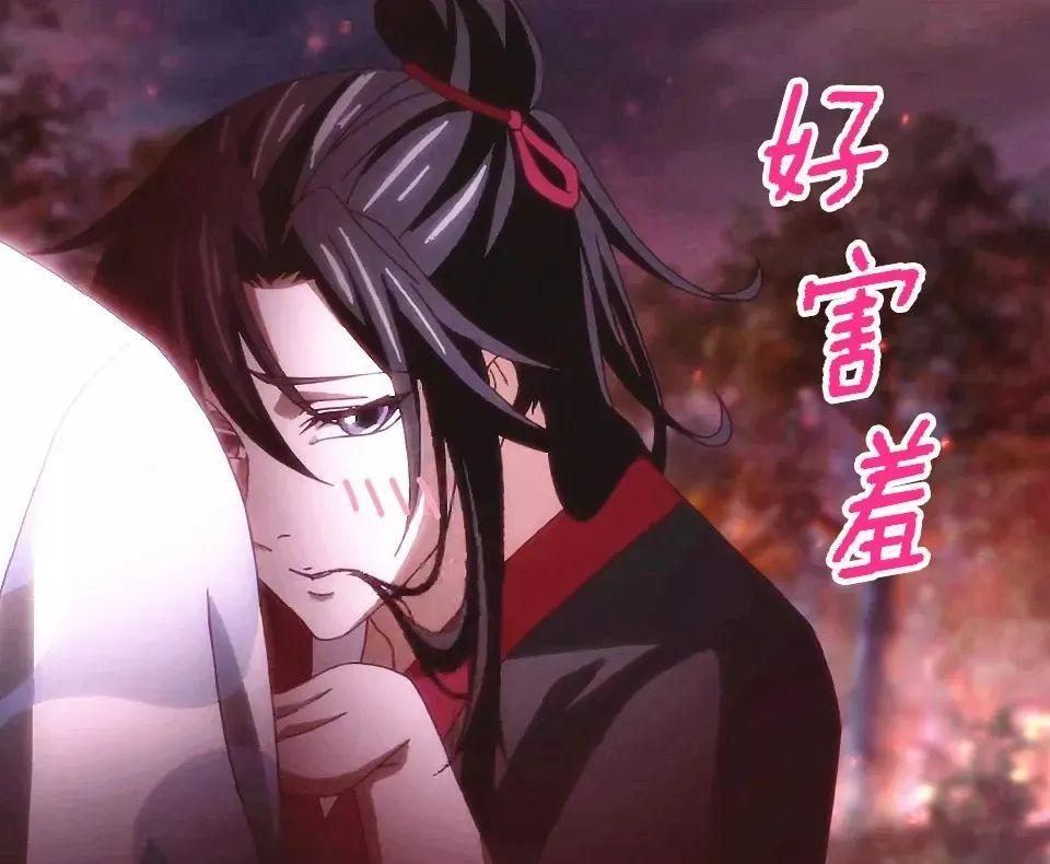优秀的魔道祖师表情包