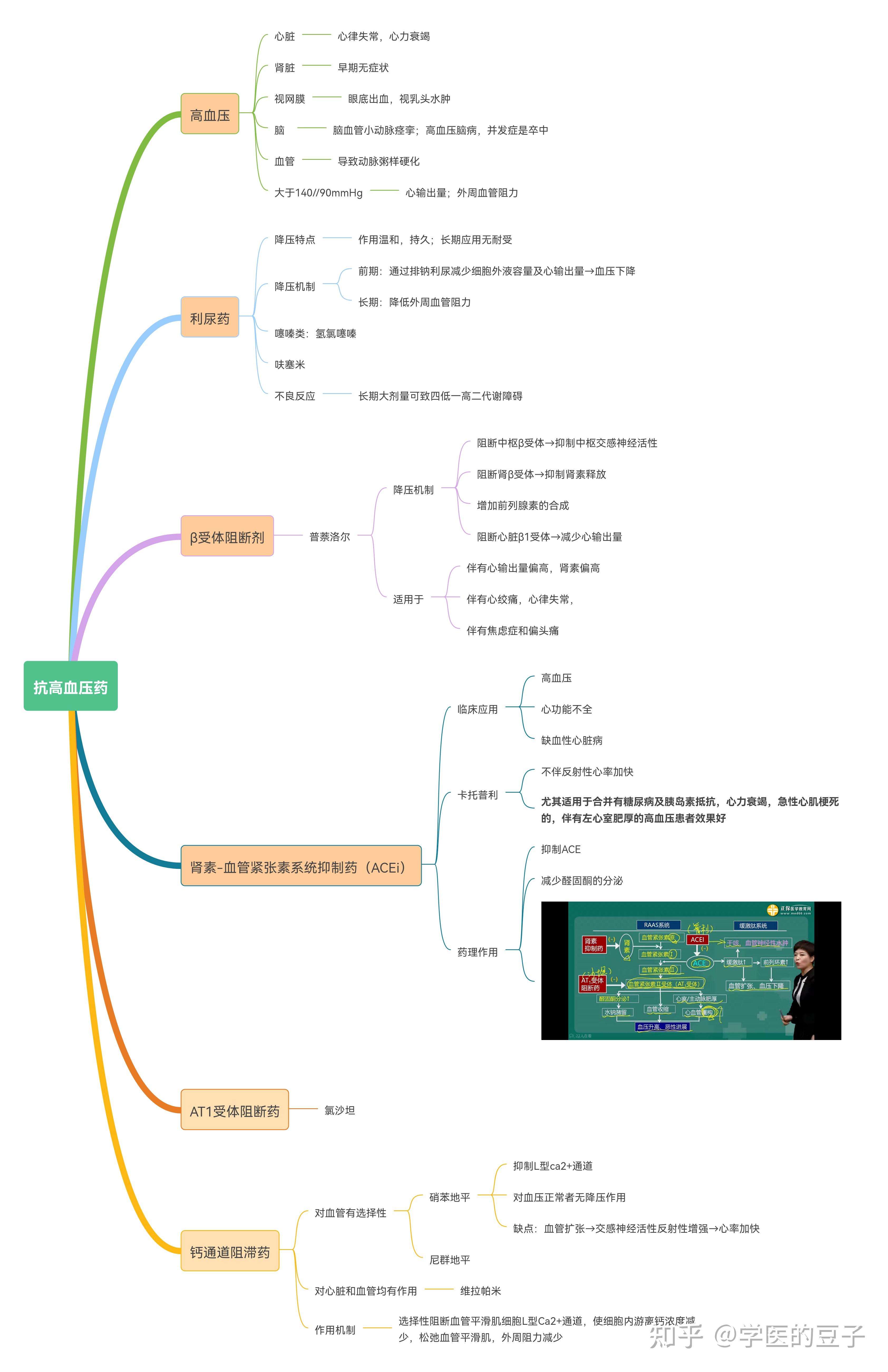 药理学景晴老师版思维导图
