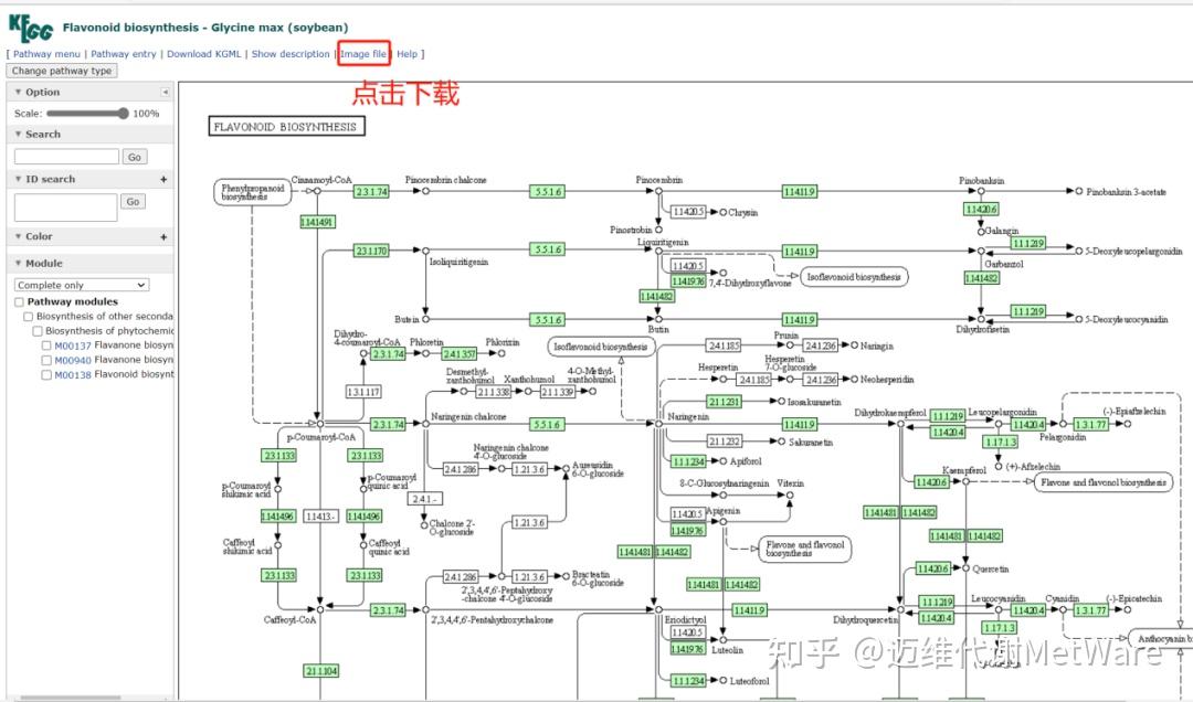 植物代谢组 | 公共数据库-如何利用KEGG查询代谢通路+下载代谢物？ - 知乎