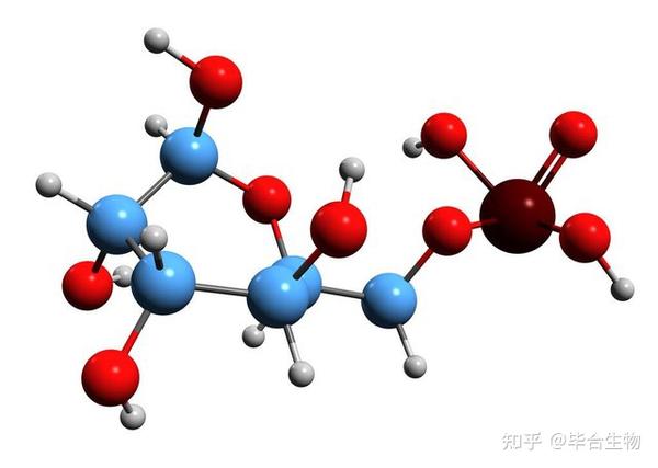 酶的命名与分类 知乎 