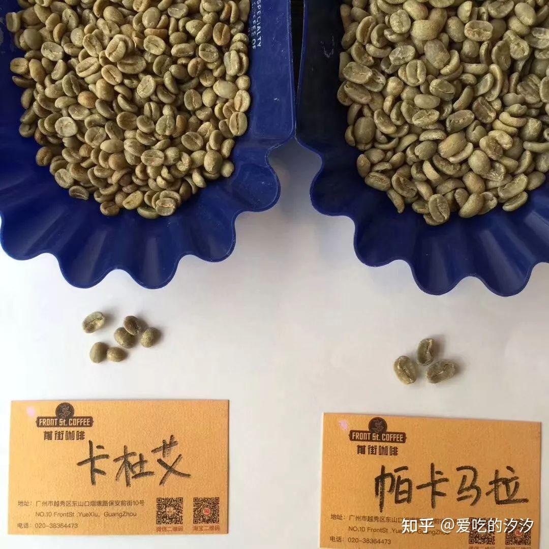 波旁种,是铁皮卡(typica)突变产生的次种,与铁皮卡同属现存最古老的