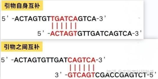 必知!PCR 引物设计的 8 大黄金原则,一篇全掌握 - 知乎