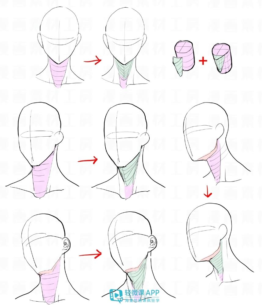 如何画好头颈肩的关系? - 知乎