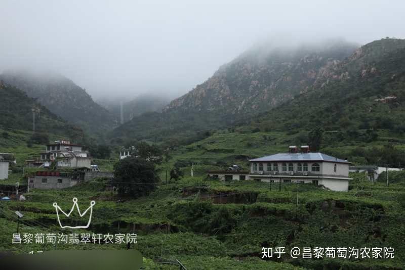 漁島附近農家院昌黎海邊吃住一體農家院昌黎葡萄溝農家院住宿採摘翡翠