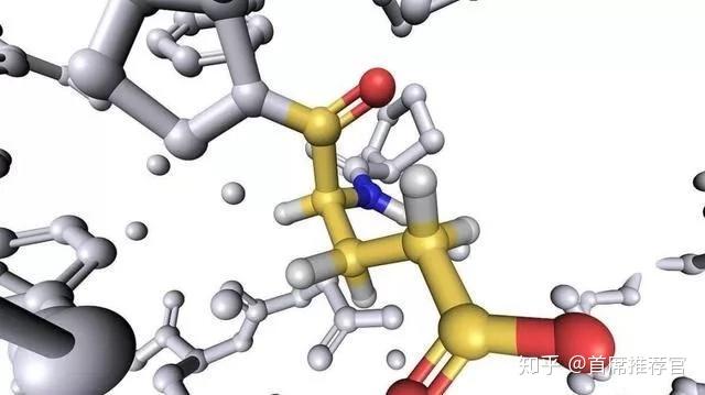v2-c1bb14dc233c54731e03094f07dc2f56_r.jpg