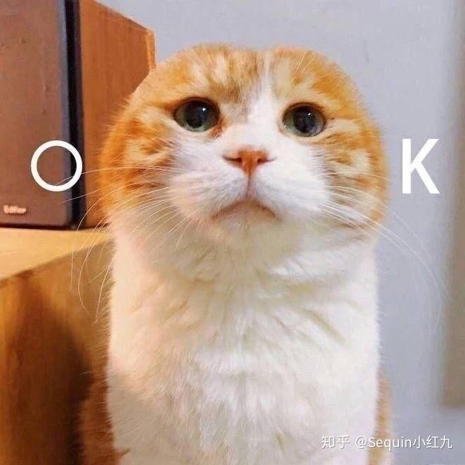 今日头条Hr口头说给offer,多久能收到啊?