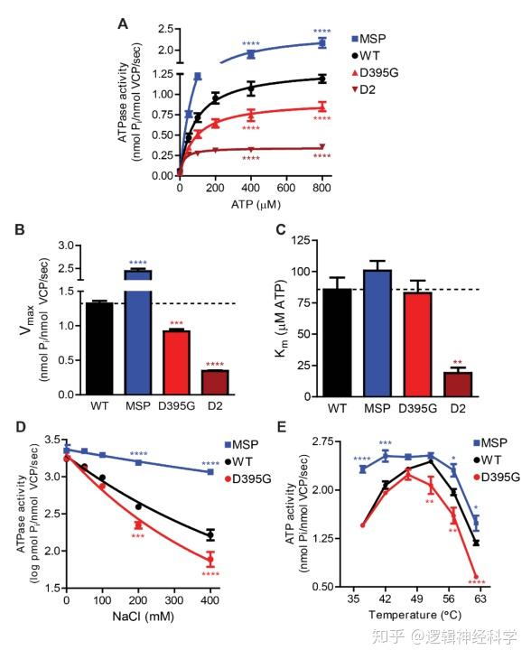 science, 2020; 370: saay8826)在进一步的免疫组化和免疫荧光实验