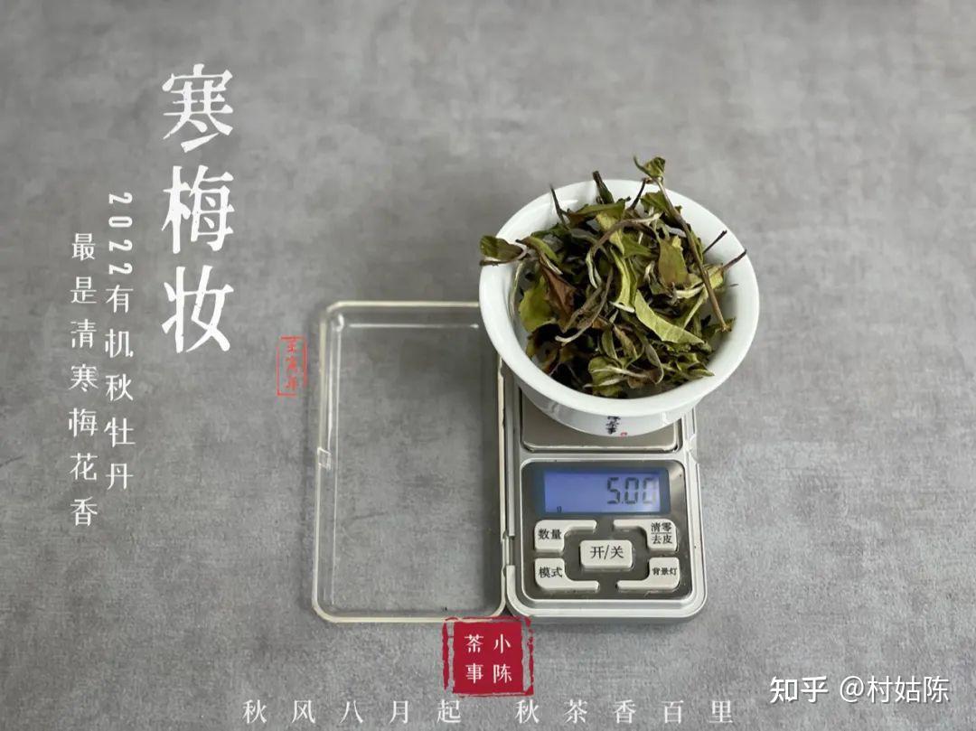 老茶客传授,避免泡出浓茶的4个有用技巧,看看你都做对了吗? - 知乎