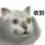 Mur猫表情包合集6 - 知乎