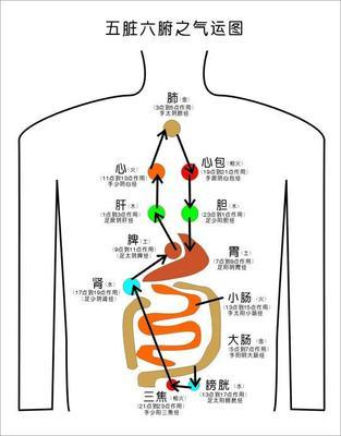 中医的气到底是什么?从何而来? - 知乎