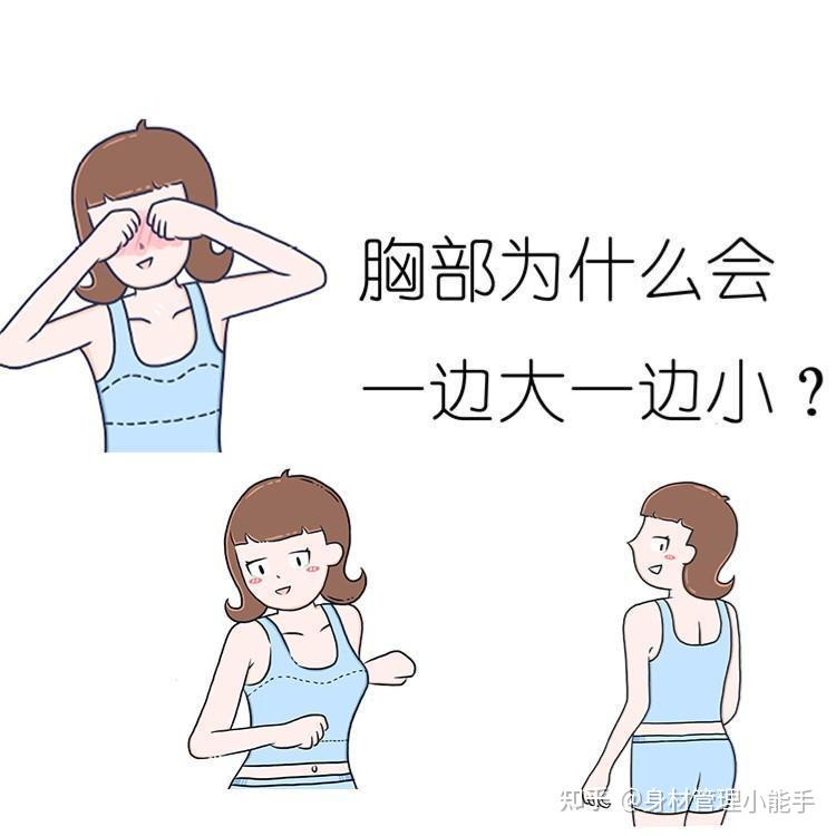 胸部为什么会一边大一边小大小胸用刘燕酿制丰韵霜能调整吗