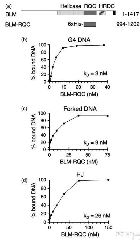 【文献翻译】RecQ家族解旋酶中一个保守的G4 DNA结合域 - 知乎