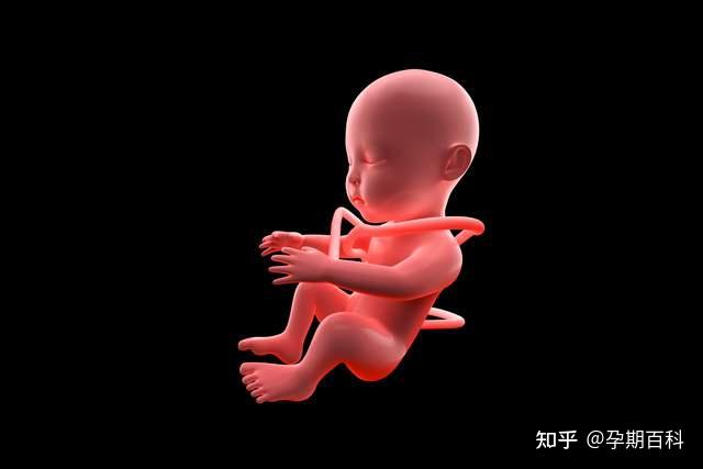 顺产评估的重要指标是胎位不正