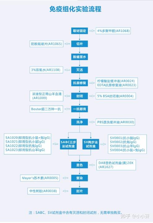 免疫组化流程图图片