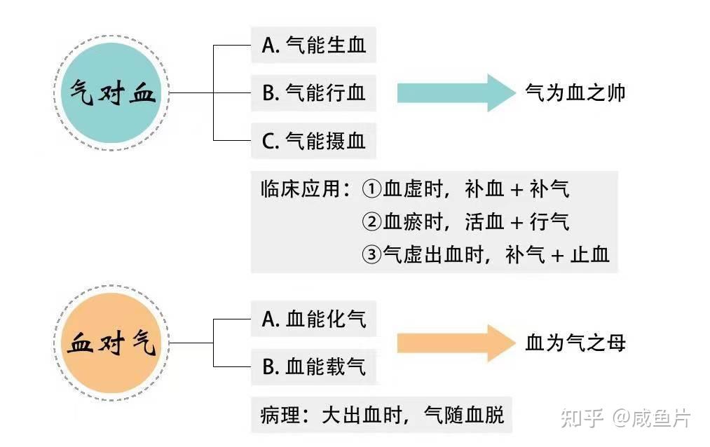 气血是什么?气和血有什么关系?气血不足怎么吃? - 知乎