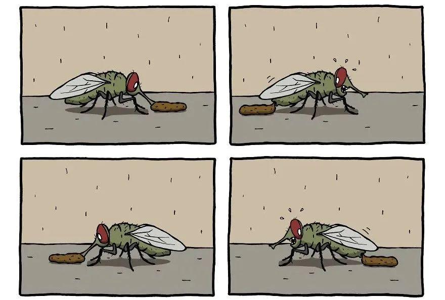 14幅无厘头的四宫格漫画,结局出人意料,充满幽默感