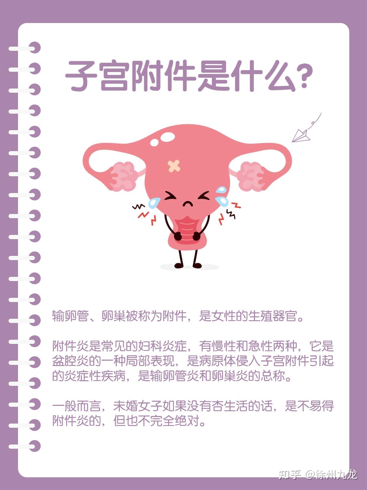 子宫附件是什么,附件炎会造成什么危害? - 知乎